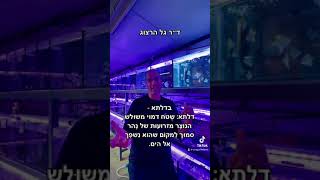 דגי מים מליחים. מה זה?