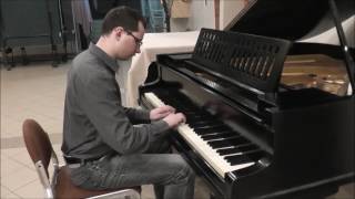 Kevin MacLeod   Scheming Weasel (fast version piano) Resimi