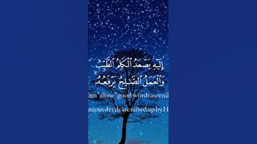 تلاوة عطره لسورة فاطر لقاريء مشاري راشد