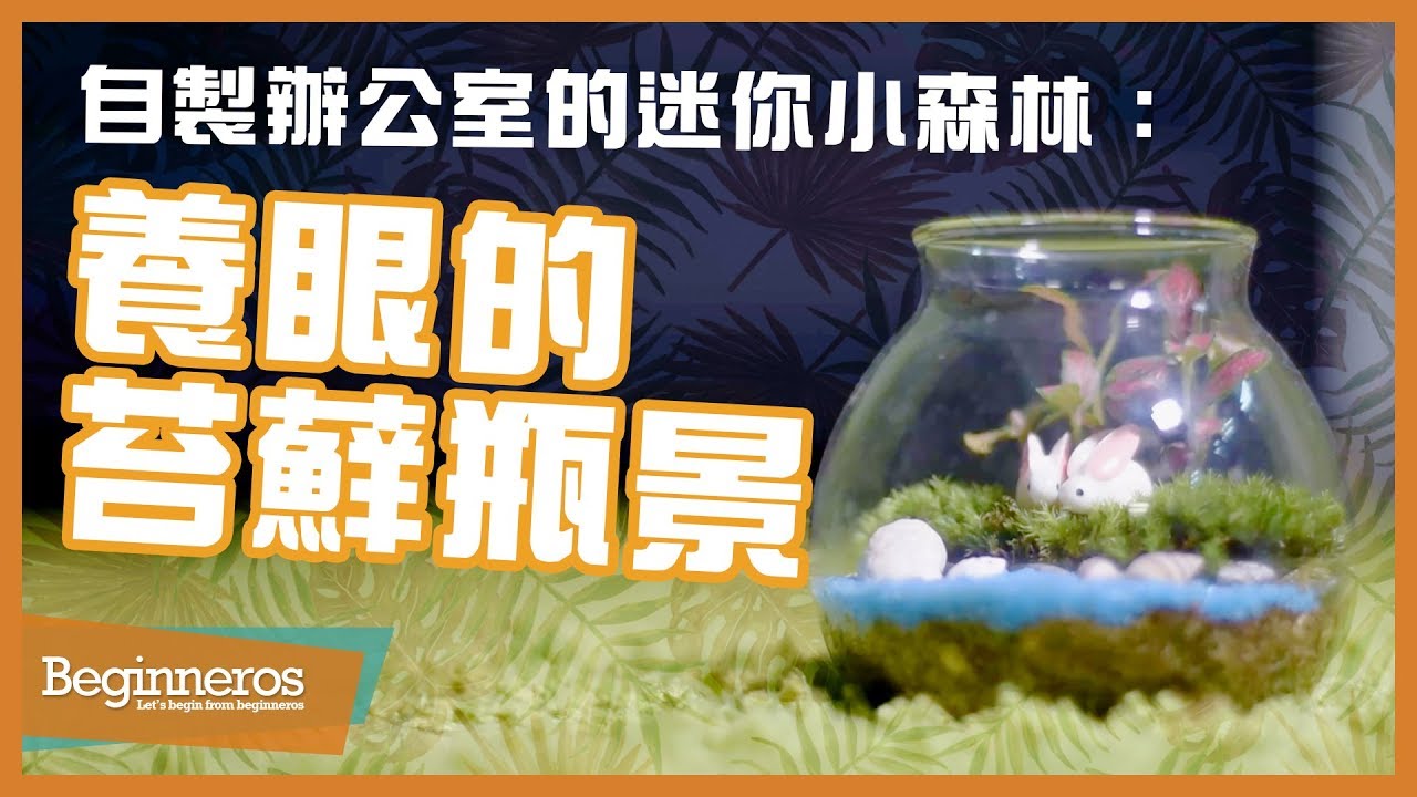 手作教學 自製辦公室的迷你小森林 養眼的苔蘚瓶景 Beginneros Youtube