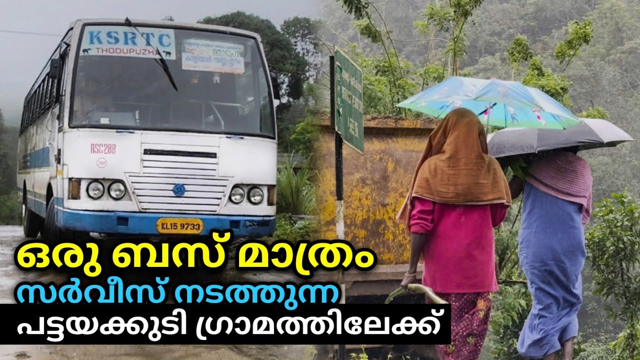 പണ്ട് കൊടും വനമായിരുന്ന പട്ടയക്കുടി ഗ്രാമം | Pattayakudi Village in Idukki, Vannappuram
