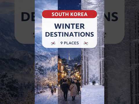 2026년 2월 17일