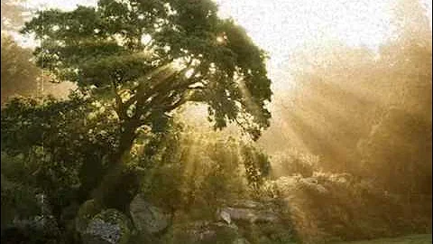 If Money Grew Out of Trees