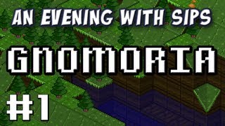 Gnomoria - Part 1 - The Sweaty Home
