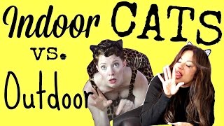 Indoor vs. Outdoor Cats