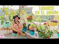 Retomando trabajos en el jardín UBICANDO MÁS PLANTAS EN LA TERRAZA │Candy Bu