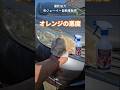 黄ばみがトロけるオレンジの悪魔(500ml) メルカリで