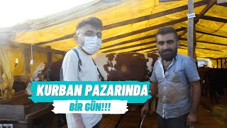 Kurban Pazarinda Bi̇r Gün Geçi̇rmek-2021 Kurban Bayramikurbanlik Fi̇yatlari