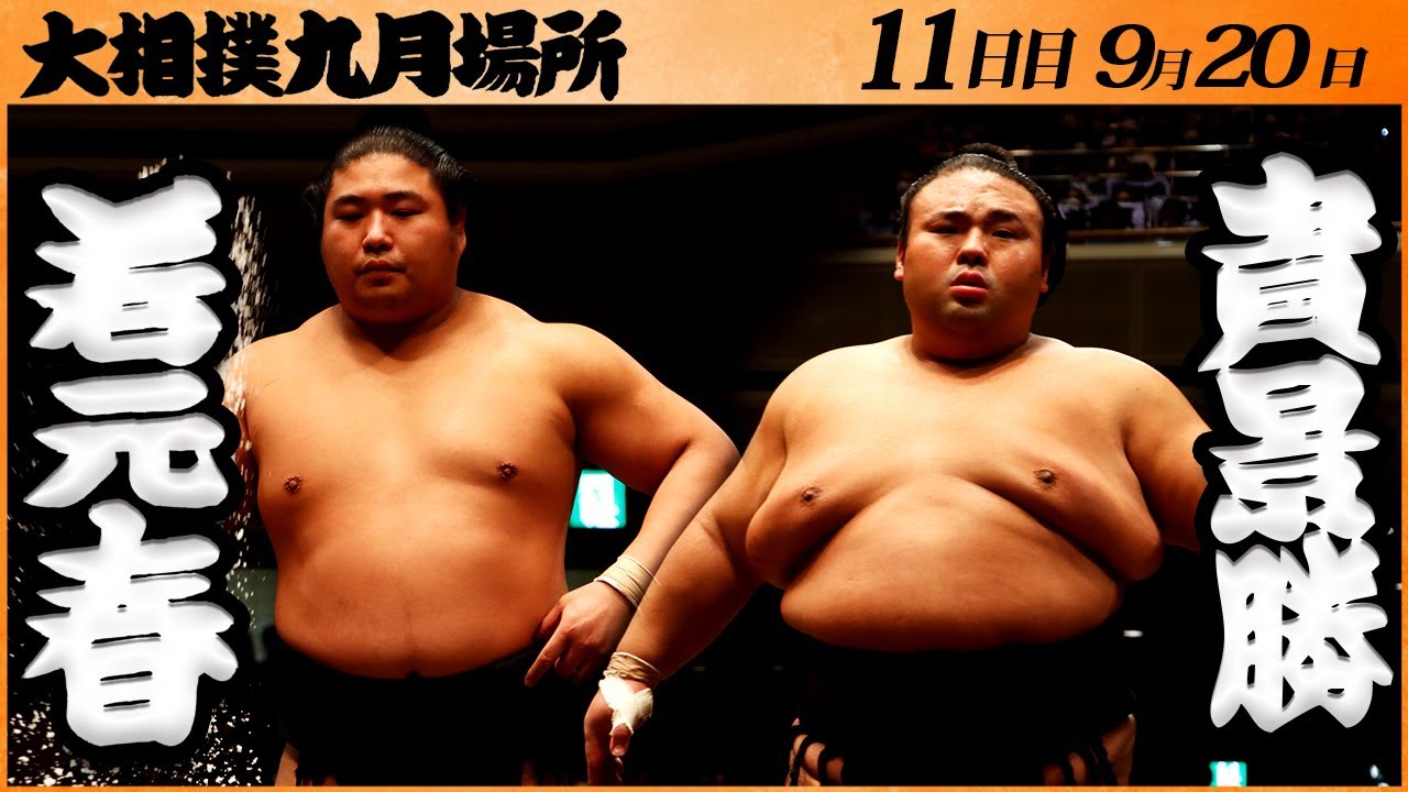 大相撲 若元春 9点セット 大相撲 若元春 9点セット 大相撲 若元春 9点