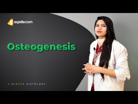 Video: Sąvokoje osteogeninis galūnė reiškia?