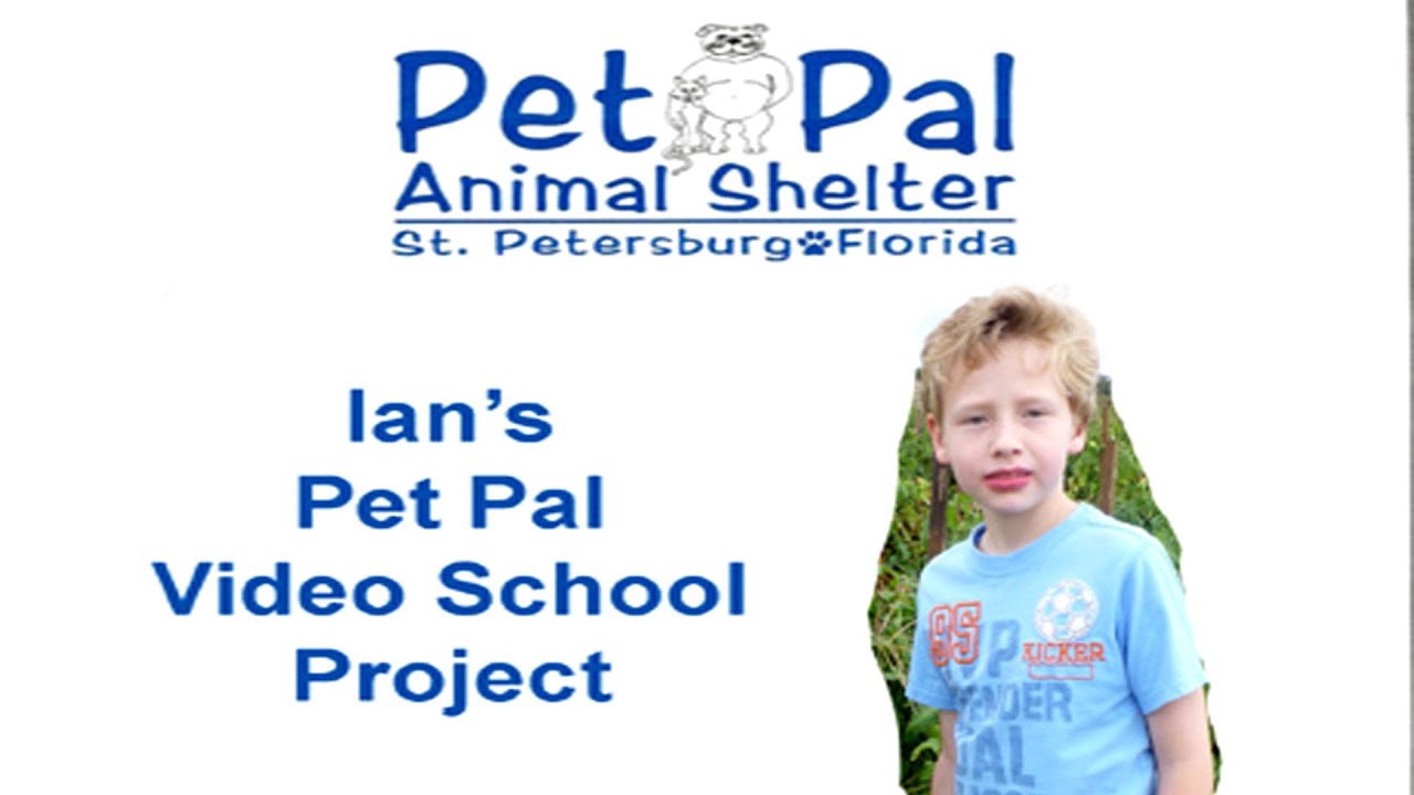 Ian's Pet Pal Project