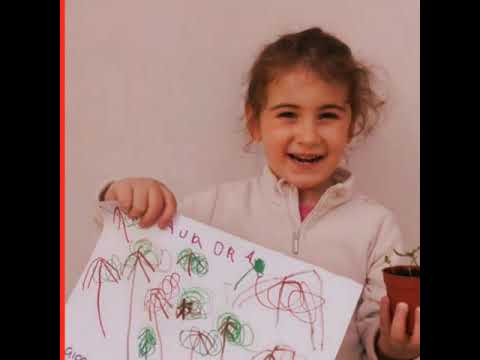 Video: Bambini E Natura
