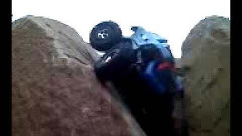 Losi Micro Crawler 2