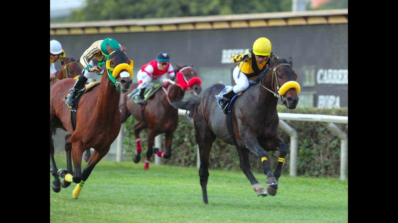 Clásico Baldomero Aspillaga (Per-G3) - Puppi's Husband (Fortify)