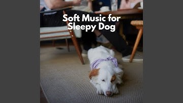 Cool Moods for Forgetting Mirrors