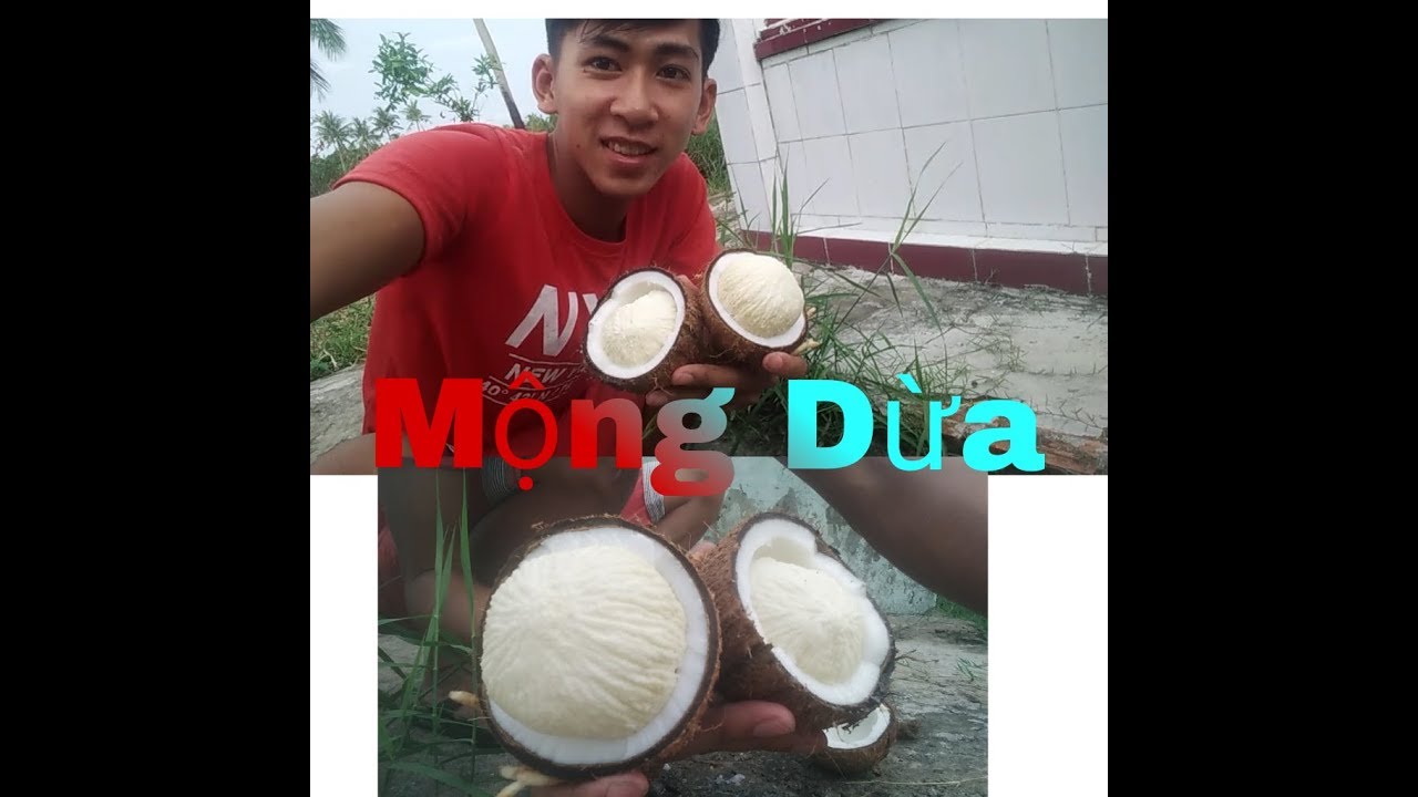 NVL- Ăn Mộng Dừa Tuổi Thơ Người Miền Tây - YouTube