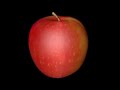 Video Exemplo projetor Holográfico 3D Circle Holograma Maçã Apple
