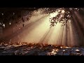 Best Smooth Jazz Sunset Vibes ✨ Gentle Sunset Jazz Ambience for Work and Meditation