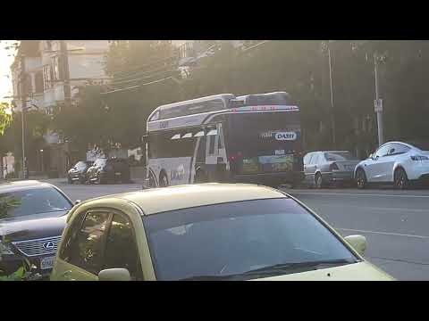 #LADOT Gillig BRT Plus #15354