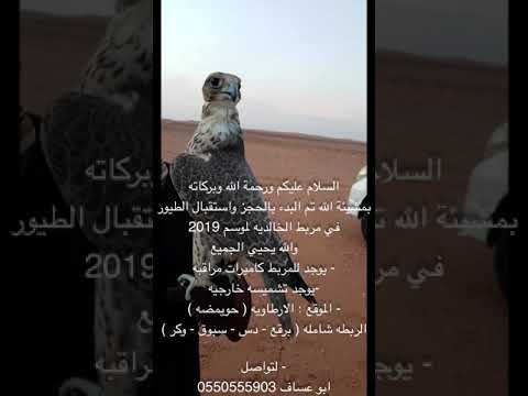 مربط الخالدية الارطاوية حويمضة ابو عساف 0550555903 ابو سلطان 0504297633