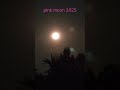 pink moon 2025 live#pinkmoon #reels #live #sky #astrology#planet