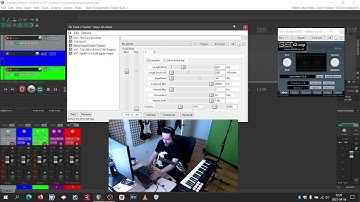 Mr. Doubler Tutorial: HOW SIMPLE IT WAS! using the "SIDT" settings on READelay (Reaper)