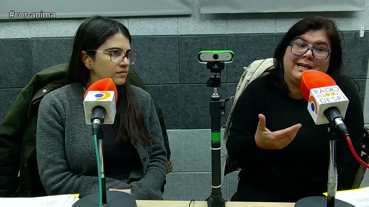 Violencia machista: Atención, apoyo y prevención desde los C.A.P. de Sant Joan Despí