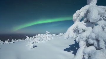 تلاوة خاشعة من سورة الزمر - معاذ العيد