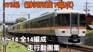 【373系走行動画集】日本一遅い特急だの何だの言われてますが、JR東海・静岡地区で優等車と言えばこれしかない