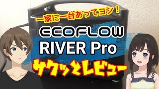 ECOFLOW River Pro サクッとレビュー