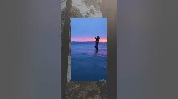 من روائع تلاوات القارئ الشيخ محمد الليثي