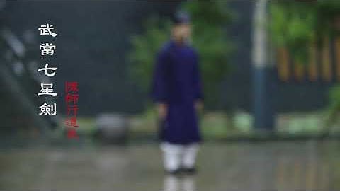武當七星劍 陳師行道長     Wudang Qi Xing Sword  by Master Chen Shixing