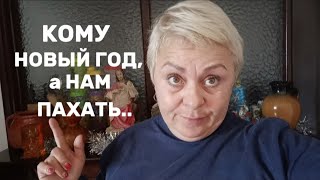 РАБОТА на УБОРКАХ в ИСПАНИИ в ДЕКАБРЕ это ТРЕШ../РАСХЛАМЛЕНИЕ СЕГОДНЯ БУДЕТ ДРУГОЕ🤣/ВЛОГ с ИСПАНИИ