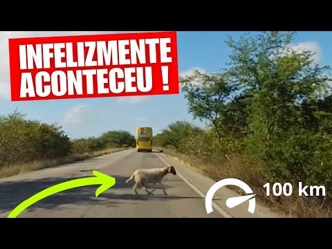 Viagem de Carro P/Nordeste- Retorna Para São Paulo-Fim da Viagem 😔?