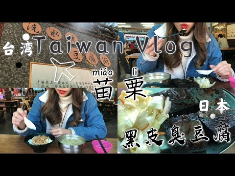 Taiwan vlog 29-台湾苗栗の黒い臭豆腐/BLACK STINKY TOFU/苗栗美食黑皮臭豆腐/洗水坑老街