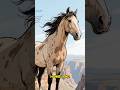 The Horse's Extinction & Epic Return to America