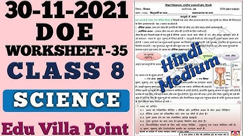 Class 8 Science Worksheet 35(30/11/2021) Hindi Medium | Class 8 SSt | Edu Villa Point