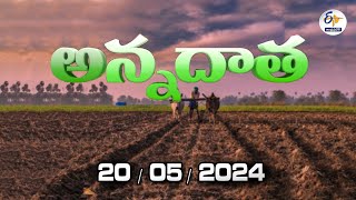 అన్నదాత | 20th May 2024 | Annadata | Full Bulletin | ETV Andhra Pradesh