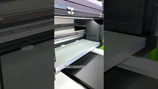 Audley 6090 AI camera positioning for printing #printing #audley #uvprinter #audleyprinter #custom