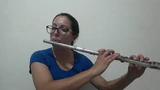 Flintstones Cover Flute