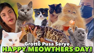 MOTHERS DAY SPECIAL CAT SERIES| GROTTO PUSA SERYE | MAY 12, 2024