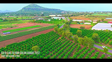 DJI D-Log to HDR Color Grade Test | DaVinci Resolve Studio