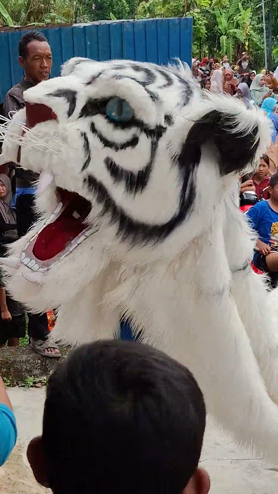 barongan new pandawa