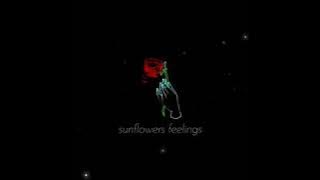 Kuzu Mellow - Sunflowers Feeling(lyric video)