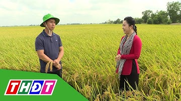 Đất tốt - Lúa khỏe nhờ Humic Bio và Full Grow Gold 2x | Hữu cơ cho nông sản Việt - 25/3/2025 | THDT