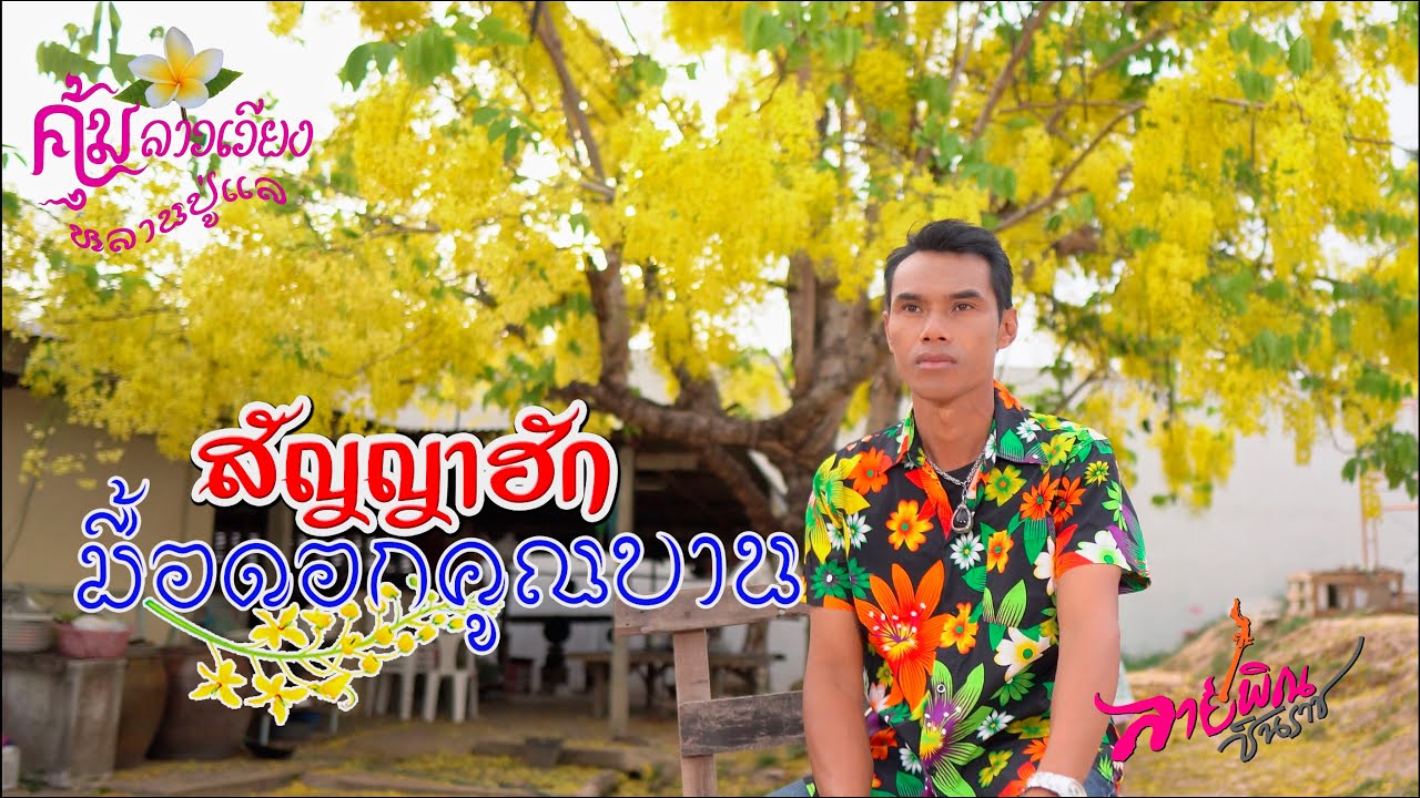 สัญญาฮักมื้อดอกคูณบาน【MUSIC VDO】- ลายพิณ ชินราช