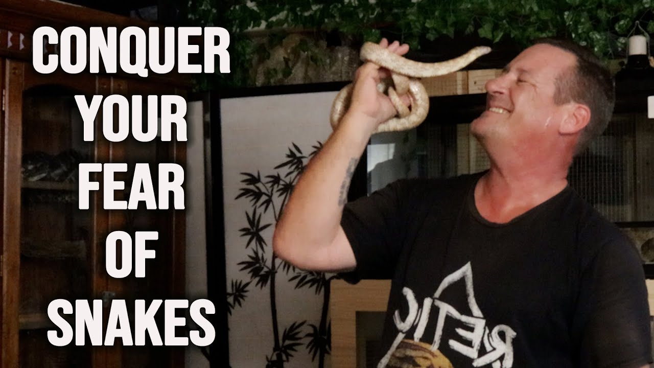 How To Begin Handling Snakes - YouTube