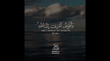 قرآن كريم بصوت القارئ هزاع البلوشي تلاوة هادئ ارح قلبك 💚🌿حالة واتس إسلامية /استوري انستغرام
