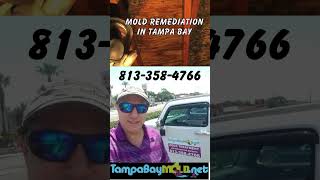 Mold Remediation Services Odessa FL 813-358-4766 TampaBayMold.net #blackmold #moldremoval