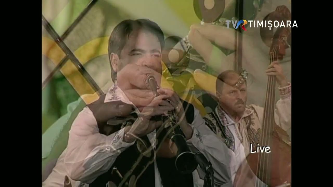 Petrică Vița și banda din Banat, condusă de Sebastian Roșca #Folclor